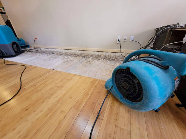 Professional Structural Drying technician working in Clawson, MI